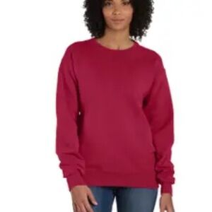 Re/Done x Hanes Classic Crewneck in Currant